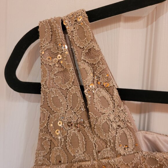 Jax Sequined Lace Illusion Cocktail Dress Champaigne Size 8 - Picture 5 of 16